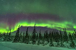 Northern Lights Prints: A band of subtly coloured aurora over the snowy trees of the northern boreal forest