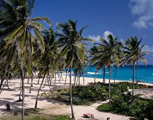 Castello Prints: Barbados, St Philip, Sam Lords Castle Hotel Beach, Palms In Sand, Gardens With Wall