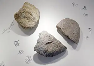 Archaeological Prints: Basalt Nutcrackers from the Acheulean industry