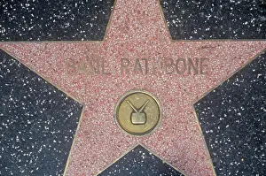 Southern California Prints: Basil Rathbone” Star on Hollywood Blvd. Los Angeles, California