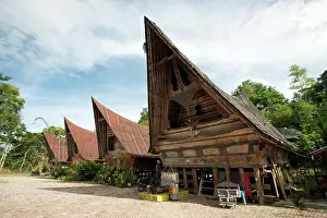Tribal Prints: Batak Toba village houses with high ended roof and tribal carvings