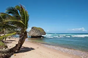 Caribbean Prints: Bathsheba Beach, Barbados, Windward Islands, West Indies, Caribbean, Central America
