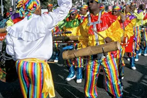 Outfit Prints: Battle of the Flowers, Carnival