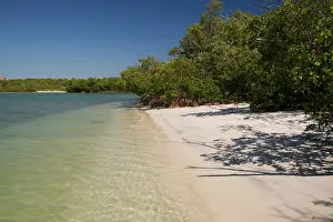 Amerika Prints: Beach, bay, lagoon, beach, lonely, beach, bay, lagoon, beach, lonely