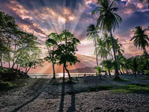 Tours Prints: Beach, Corcovado National Park, Osa Peninsula, Costa Rica