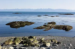 British Columbia Prints: Beach at Dallas Road, Beacon Hill Park, Victoria, BC, Canada