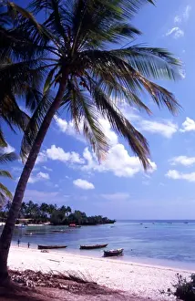 Tours Prints: The beach at Kizimkazi Dimbani. Zanzibar, Tanzania
