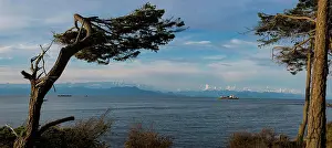 West Coast Prints: beach, shoreline, Entrance Island Lighthouse, Gabriola Island, British Columbia, Canada