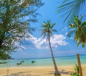 Florida Prints: Beach on the tropical island. Clear blue water, sand and palm tr