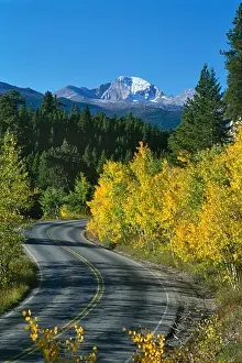 Streets Prints: Bear Lake road winding through yellow Aspen trees in Longs Peak