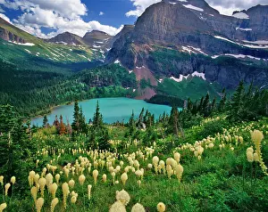 Montana Prints: Beargrass above Grinnell Lake in the Many Glacier Valley of Glacier National Park in Montana