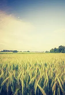 2016 Prints: Beautiful countryside landscape