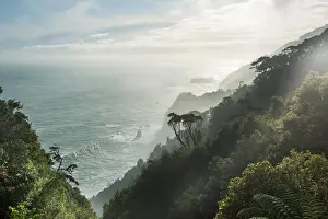 Hills Prints: Beautiful landscapes it the Ocean Beach