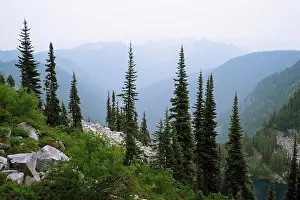 Boulders Prints: Beautiful trees in the north cascade mountains with wildfire smoke