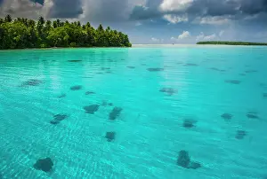 Tropical Prints: Beautiful turquoise water in the Ant Atoll, Pohnpei, Micronesia, Pacific