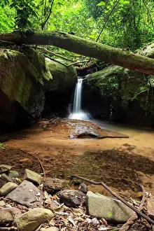 Brazil Prints: Beautiful view to rainforest river waterfall and pool on green area