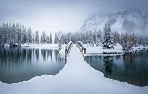 Frozen Prints: Beautiful winter Canadian landscape with snow covered bridge over calm water with fir forest