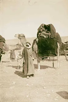 North Africa Prints: Bedouin wedding Bride's-maids on camel covered with Aba 1900