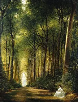 19th Century European Art Prints: The Beech Avenue, Denbies. Richard Redgrave (1804-1888)