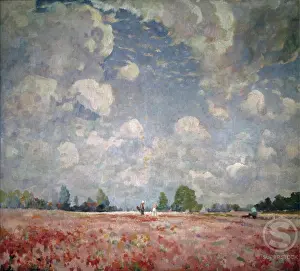 Flanders Prints: Belgium, Flanders, Heide in Waasmunster