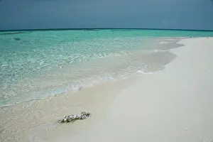 Large Format Prints: Belize. Goff Caye, a popular Barrier Reef island just offshore from Belize City