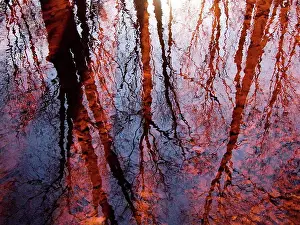 Straight Prints: As Above So Below, Massachusetts