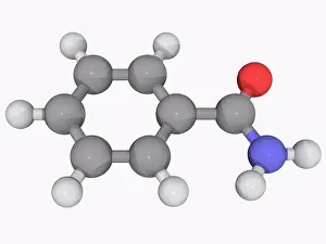 Matter Prints: Benzamide, molecular model. Organic compound