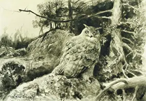 Bare Tree Prints: Berguv (Eagle Owl) Bubo Bubo. Bruno Liljefors (1860-1939)