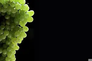 Background Plain Prints: Big bunch of green grapes with water drops on black background