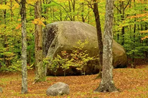 Biodiversity Prints: The Big Rock, Big Rock Campground, White Mountain National Forest, New Hampshire, USA