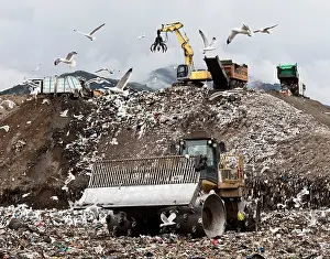 Industry Prints: Birds circling garbage collection center