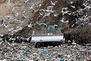 Industry Prints: Birds circling garbage collection center
