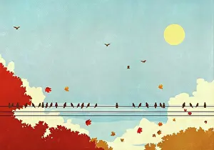 Blowing Prints: Birds on telephone wire against autumn trees and sunny blue sky