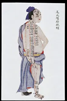 Channel Prints: Bladder channel of leg taiyang, C17/18 Chinese book art
