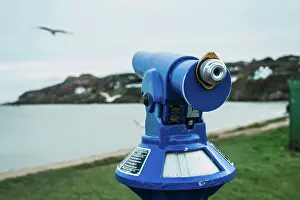 Interesting Prints: Blue binoculars and flying bird in park at seaside