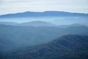 Forested Prints: Blue Ridge Mountains, Great Smoky Mountains National Park, Tennessee