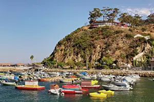 Boating Prints: Boats anchored in Catalina Harbor, Catalina Island, California