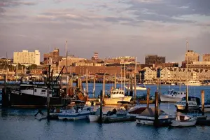 Stationary Prints: Boats docked in a harbor, Portland, Maine, USA