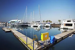 Yachts Prints: Boats docked in Royal Natal Yacht Club