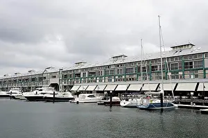 Body Of Water Prints: Boats in the marina at the Finger Wharf