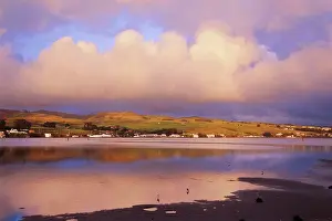 Biodiversity Prints: Bodega Bay Landscape