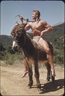 Bodybuilder Prints: Bodybuilder with Snake on Donkey c.1951
