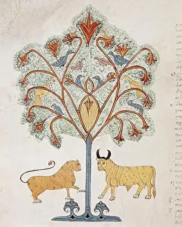 Middle Ages Prints: Book of Daniel. 10th c. Dreaming of the Nebuchadnezzar's tree