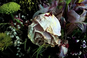 Contrast Prints: Bouquet of withered flowers with a dried rose in the foreground