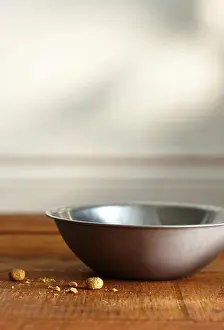 Dishes Prints: Empty Bowl of Dog Food