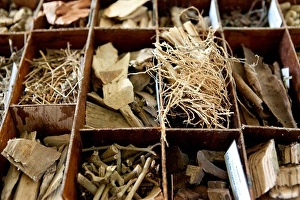 Dried Prints: Box containing different ayurvedic plants at the Surya Lanka Ayurveda Beach Resort