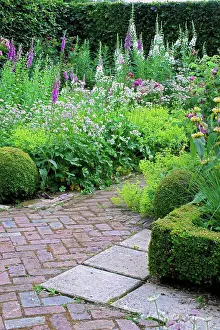 Textures Prints: Box hedge and perennials in bloom on a garden terrace
