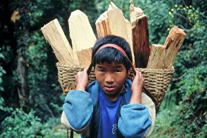 Poverty Prints: Boy carrying wood in basket, Yaksum, Sikkim, India