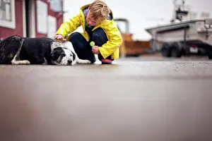 Domestic Dogs Prints: Boy crouching down to pet a dog