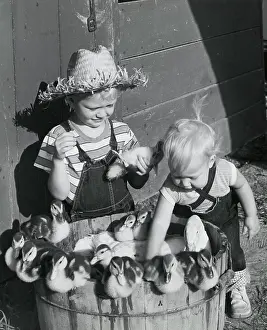 Side By Side Prints: A boy and girl with a mother duck and her babies